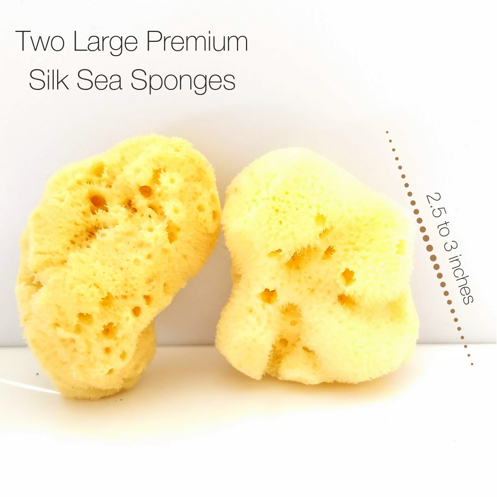 Natural Intimacy Menstrual Sea Sponges - Bleached Large (2 Pack)