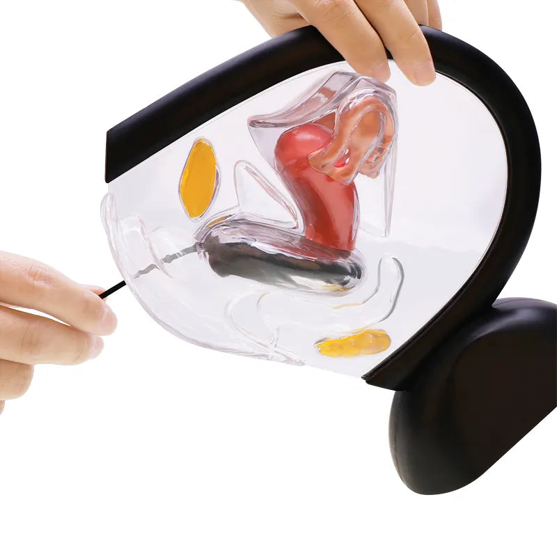 Cosmo Reusable Menstrual Disc - Black