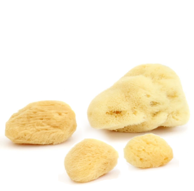 Jade & Pearl Reusable Sea Pearl Premium Ultra Soft Menstrual Sponge - Multi Size