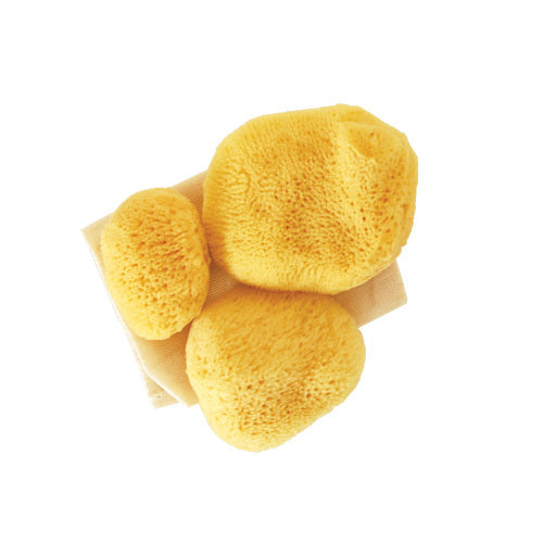 Jade & Pearl Reusable Sea Pearl Premium Ultra Soft Menstrual Sponge - Multi Size