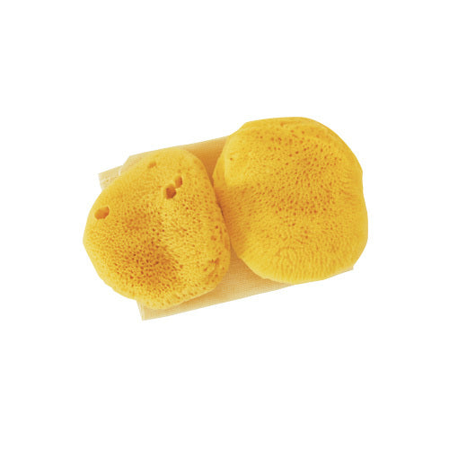 Jade & Pearl Reusable Sea Pearl Classic Menstrual Sponge - Medium (2 Pack)