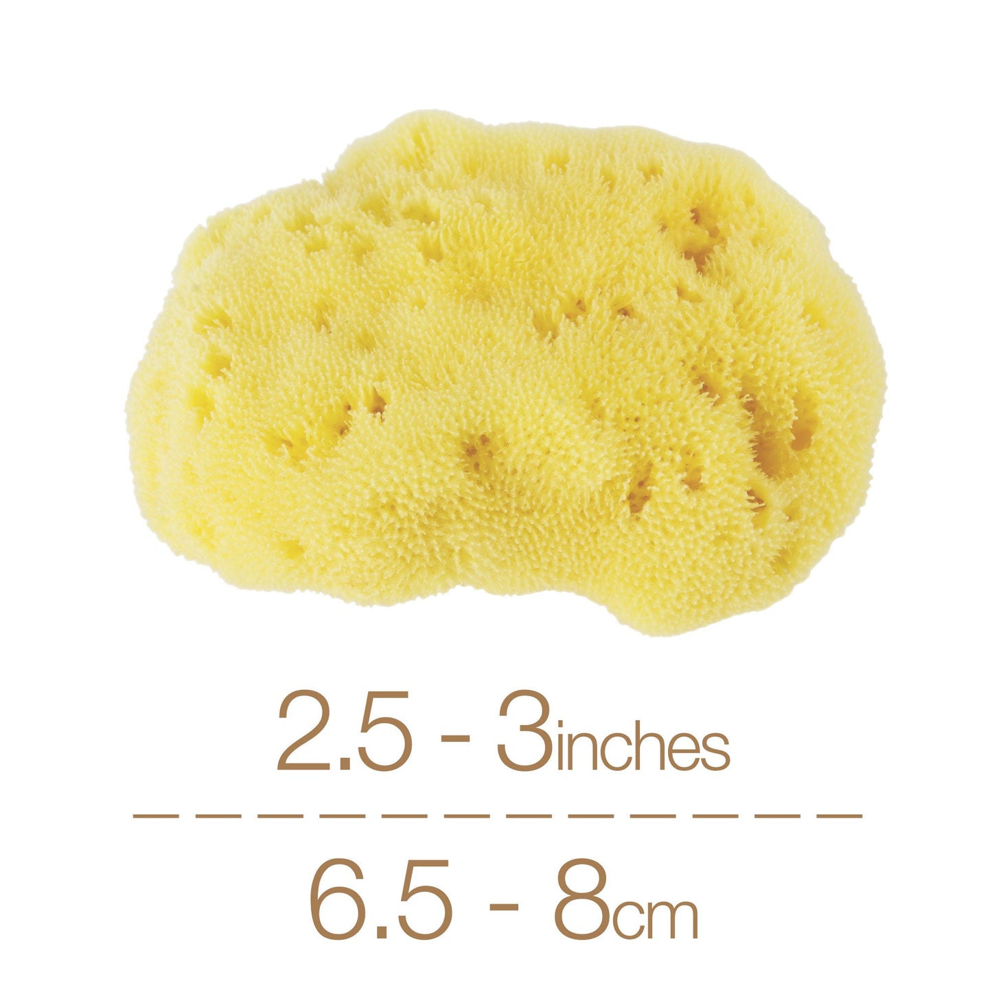 Natural Intimacy Menstrual Sea Sponges - Bleached Large (2 Pack)
