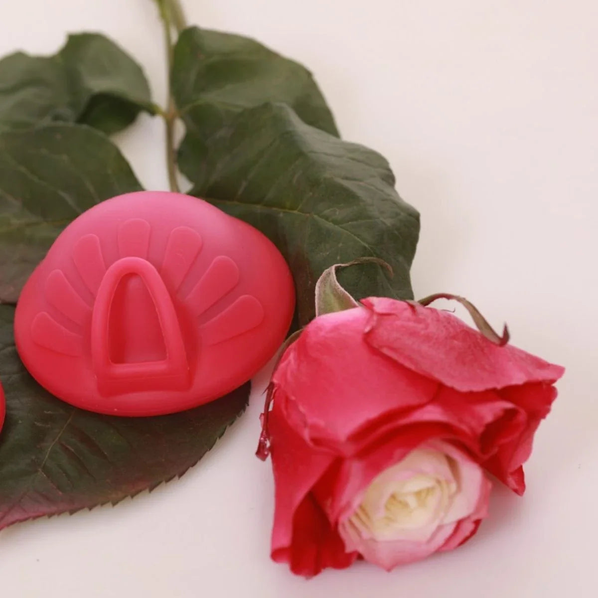 Femi Eko Reusable Menstrual Disc - Fuschia