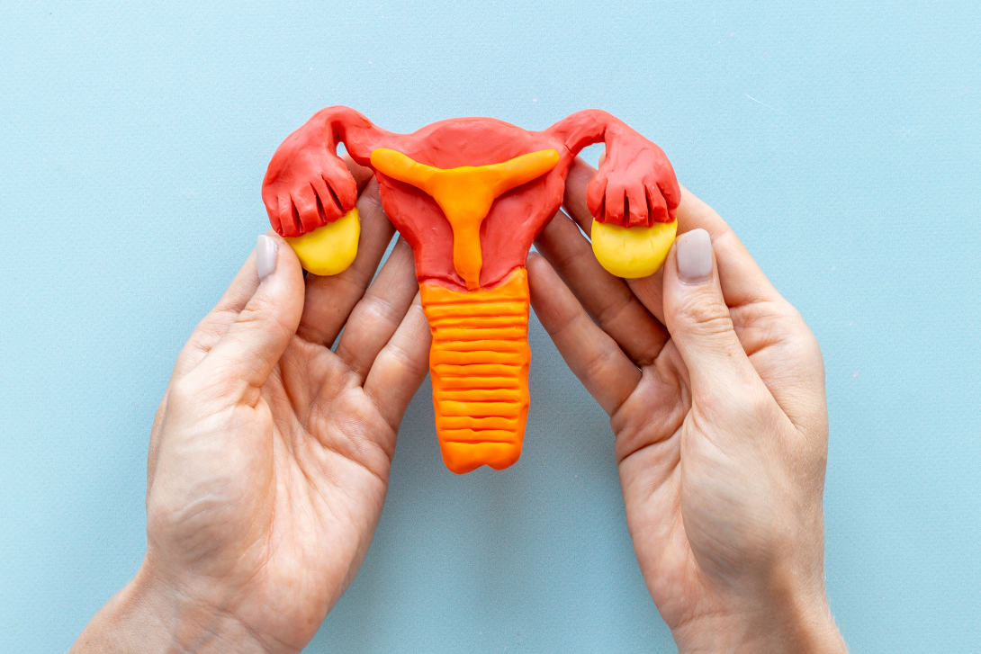 How to Measure Your Cervical Position and Why It Matters for Menstrual Cup or Disc Choice