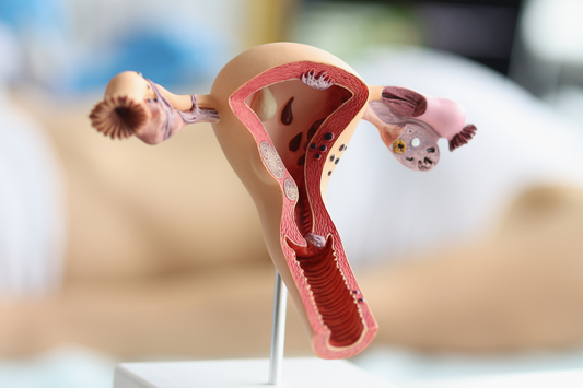 Pelvic Organ Prolapse: Types, Symptoms, and Treatments