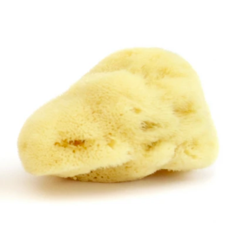 Jade & Pearl Sea Pearl Reusable Prolapse Sponge or Menstrual Sponge - XL + Firm (2 Pack)