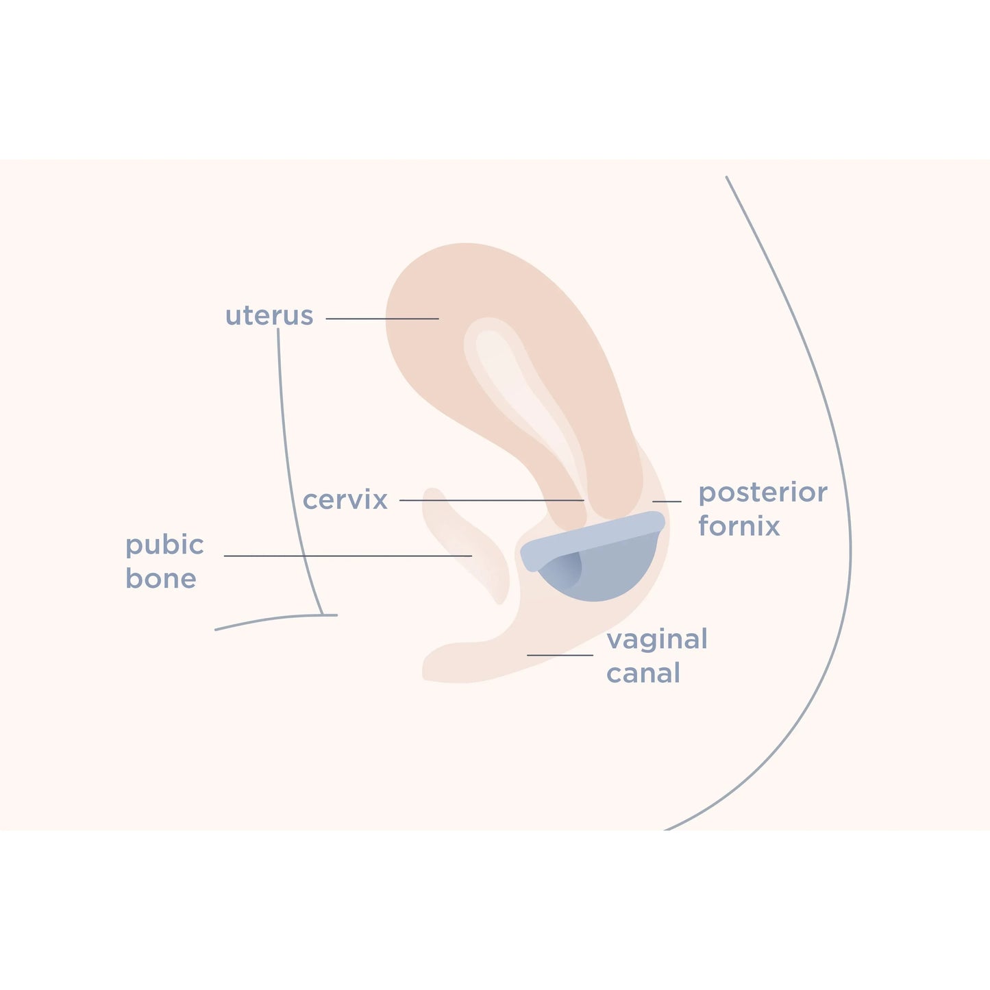 Saalt Reusable Menstrual Disc - Regular Coastal Blue