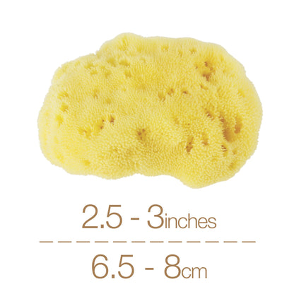 Natural Intimacy Menstrual Sea Sponges - Bleached Large (2 Pack)