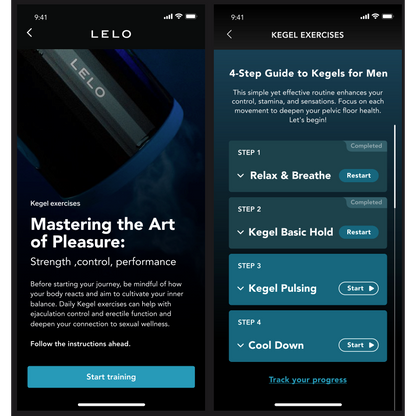 Lelo F2S Pelvic Floor & Stamina Trainer - Teal (App Controlled)